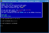 dosbox
